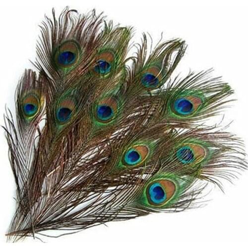 10Pcs Real Natural Peacock Tail Eyes Feathers DIY needlework Wedding Festival Party room for Home Hotel Vase Wedding Decoration