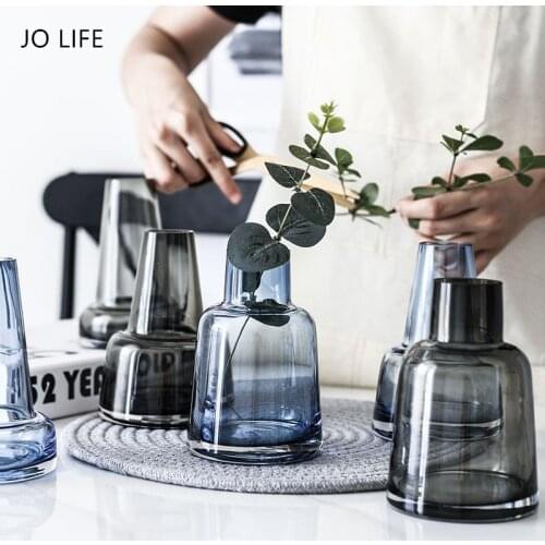 JO LIFE Home Decoration Creative Transparent Hydroponic Flower Pot Bottle Nordic Design Glass Vase