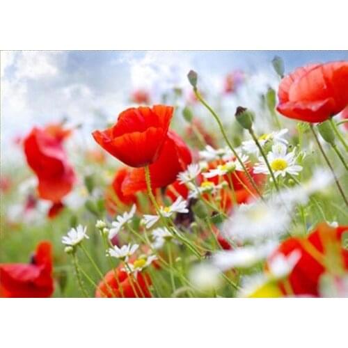 Top Fashion Embroidery Morpho Blossoms Diy Diamond Painting Patchwork Classical Angel Craft Full Square/round Drill