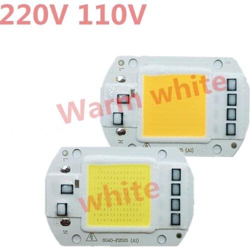 COB LED Lamp 50W 30W 20W Bulb 110V 220V Input LED Chip Smart IC Fit No Driver High Lumens For DIY LED Flood Light Spotlight
