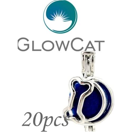 20x KK658 Silver Dog Love Bone Moon Beads Cage Jewelry Making Essential Oil Diffuser Pearl Cage Locket Pendant