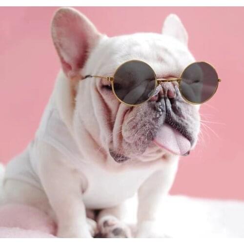 Cute vintage round cat sunglasses photography props pet reflective glasses for small dogs and cats pet decoration gadgets