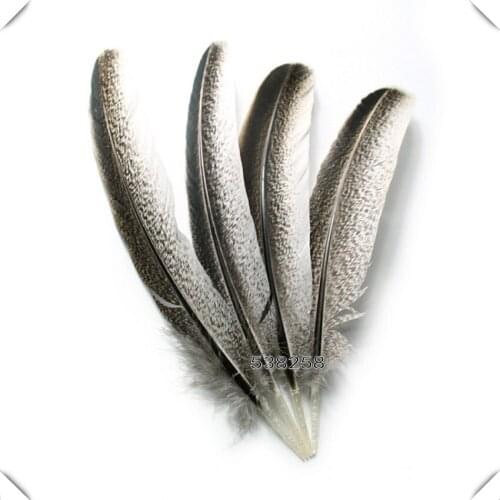 30pcs/lot 20-35cm natural plumage goose turkey feather plumes eagle feather