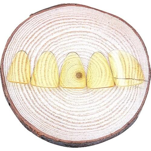 Pipa nail adult and childrens professional performance test grade solo yellow old material celluloid transparent wearproof