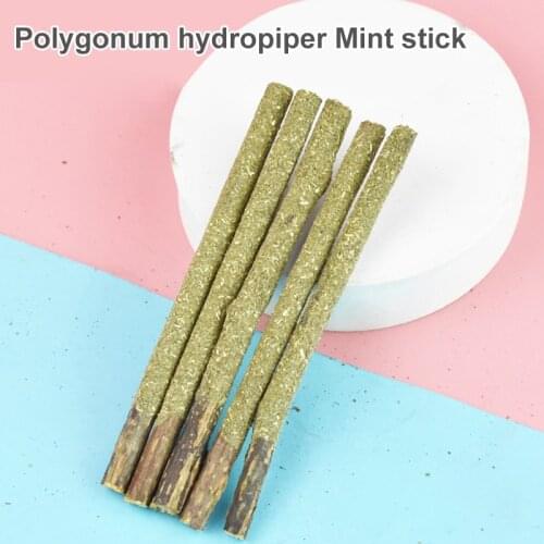 5PCS Natural Catnip Cat Molar Kitten Kitty Teeth Cleaning Natural Toothpaste Polygama Silvervine Chew Sticks Cat Supplies