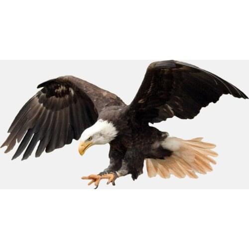 Beautiful Flying Fierce Eagle High Quality KK Cover Scratches Car Sticker PVC 17.7CM X 9.2CM