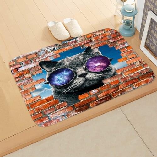 Cartoon Cat 3D Print Doormat Anti-slip Absorb Water Floor Carpet Bathroom Home Use Kitchen Floor Entrance Mat 40*60cm Wholesale