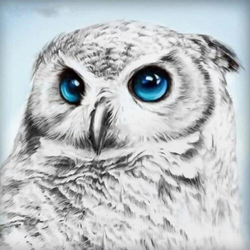 Square/Round Diamond Painting Animals Picture of Rhinestones Diamond Embroidery Sale Owl Diamond Mosaic Full Display Home Decor