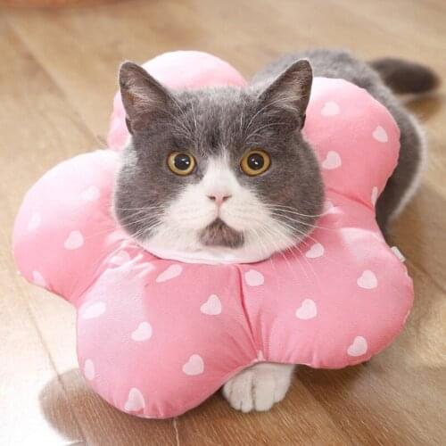 Cat Elizabeth Collar Anti Bite Protect Pet Dog Neck Recovery Collar Anti-Bite Lick Surgery Wound Healing Protective Cat Collar