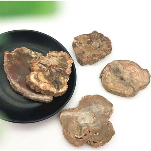 Drop Shipping 1PC Natural Crystal Woodstone Fossil Wooden Tree Fossil Madagascar Specimen Decor Natural Stones and Crystals