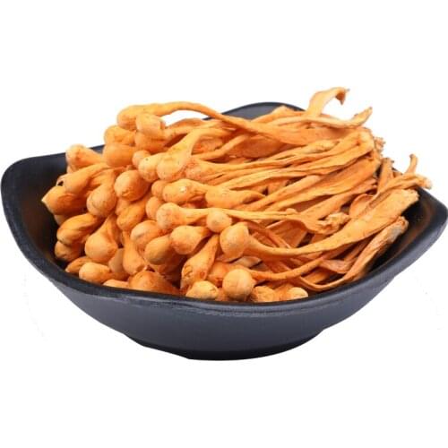 500g Chinese Organic Wild Cordyceps Flower Sinensis Flower High Quality Pure Cao Hua For Improve immunity