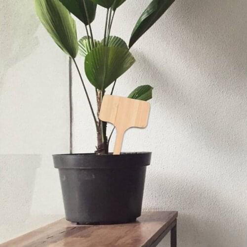 50Pcs Bamboo Plant Labels , Eco-Friendly T-Type Wooden Plant Sign Tags Garden Markers for Seed Potted Herbs Flowers Vegetables
