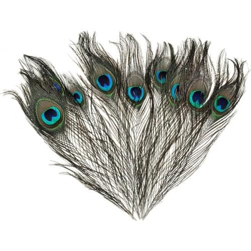 10pcs Natural Peacock Feather 25-30cm Tail Feathers Eye Clothing Decoration Plumage For DIY Craft Decoration