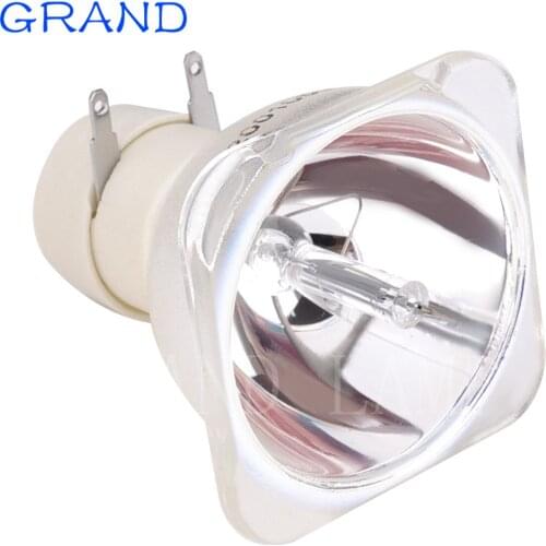 Projector Lamp BL-FU190F for Optoma DS313 DX313 W302 BR303 BR320 DX343 DW343 BL-FU190C BR302 BR324 BR325 BR327 BR332 DS328