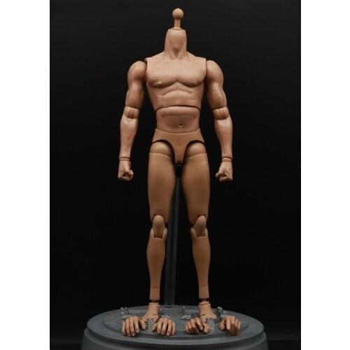1/6 Scale Male Muscular Body Action Figure For 12 Inches HT Man Head Collectible DIY Action Figure
