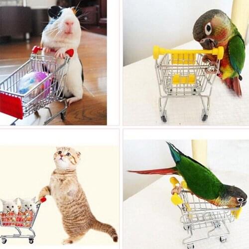 Small Pet Toy Mini Lovely Cart Trolley Small Pet Bird Parrot Rabbit Hamster Cage Playing Toy