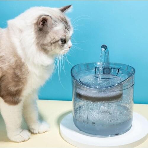 Automatic Cat Water Fountain With Faucet Dog Water Dispenser Transparent Drinker Pet Drinking Feeder 1 Filters Motion Sensor