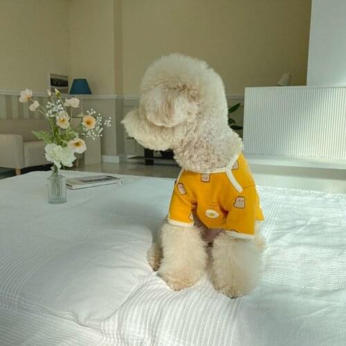 INS Korean Cute Dog Clothes For Small Dogs Sweater Hoodies Pet Winter Designer Suit Yorkies Puppy Costume Teddy French Bulldog