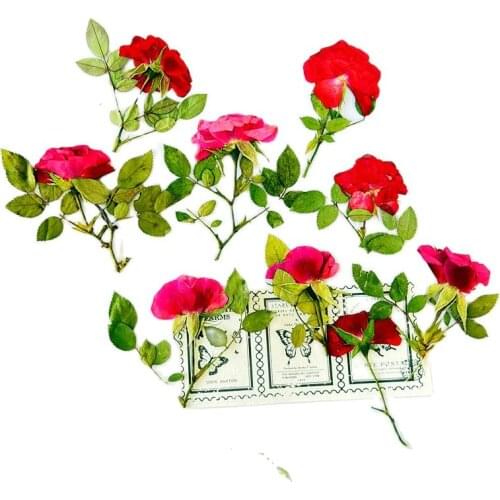 2021 Rose Flower on Stems Dried Pressed Crafts For Epoxy dried flowers phone case 1000Pcs
