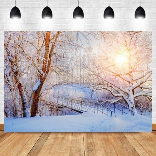 Laeacco Winter Snow Snowflake Sunshine Forest Baby Birthday Portrait Photo Background Photographic Backdrop For Photo Studio