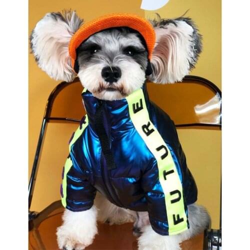 Luxury Dog Clothes Warm Autumn Winter Thick Down Jacket, Small and Medium-sized Teddy Schnauzer Pomeranian High-end Pet Clothes