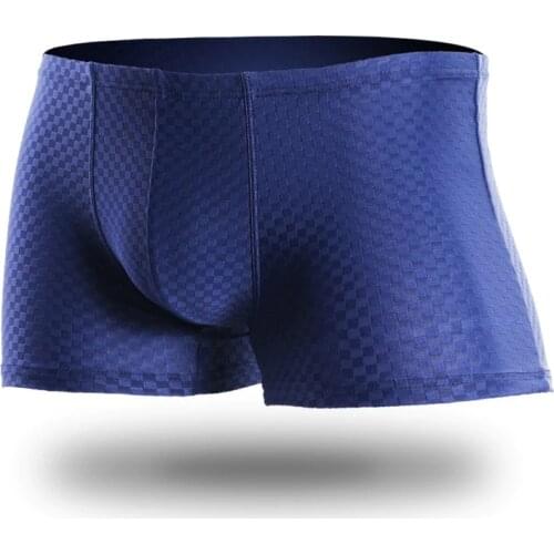 Sexy Gay Underwear Mens Boxers Transparent Ice Silk Panties Man Solid Mesh Pouch Underpants Male Ropa Interior Hombre Plus Size