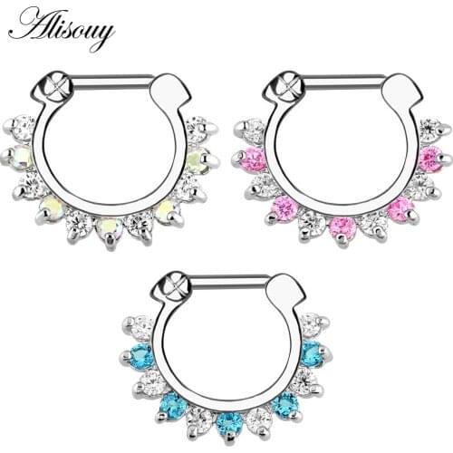 Alisouy 1 PCS Nose Ring body piercing jewelry Surgical Steel CZ Clicker Small Hoop Septum Jewelry nose rings & studs for girl