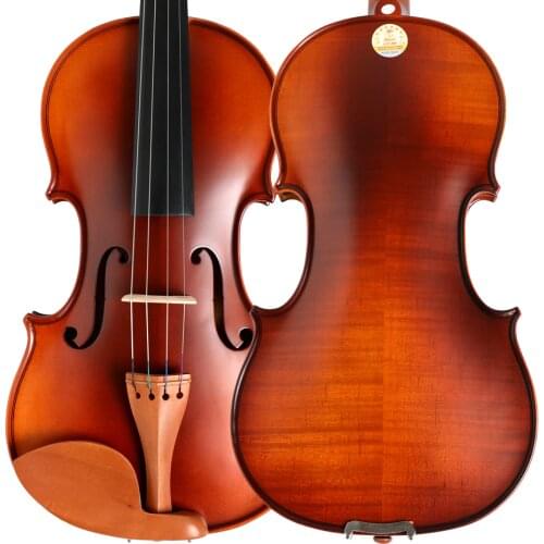 BATESMUSIC Hand-craft Advanced Violin 4/4 Spruce Plate jujube wood Maple Parts w/ Bow Case