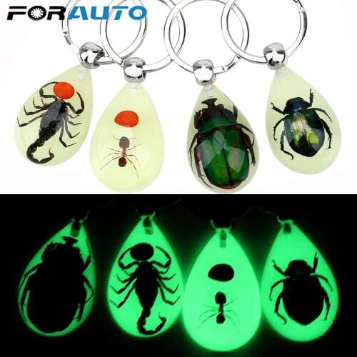 Creative Scorpion Keychain Luminous Artificial Amber Insect Car Keyring Scorpion Ant Amber Key Chains Car Accessories