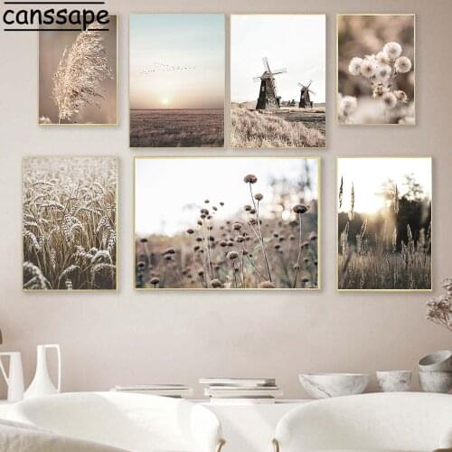 Landscape Posters And Prints Beige Reed Poster Windmill Sunset Print Plant Flower Painting Nordic Wall Pictures Home Decoration
