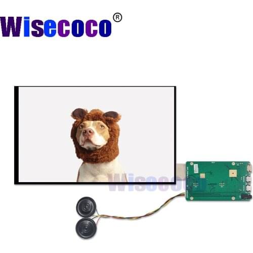 10.1 inch Type-c USB-c display1200*1920 IPS HDMI type-c USB-c controller board with speaker 440 nits brightness screen display