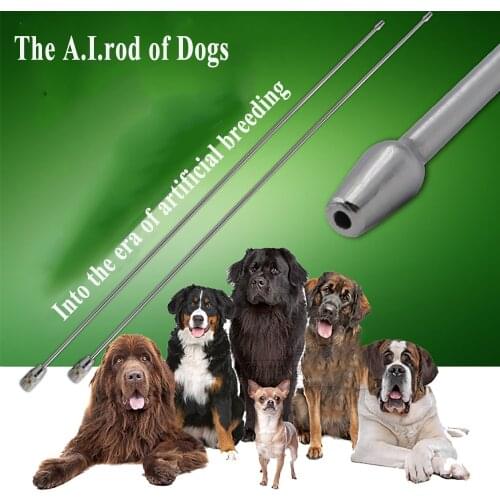 1PCS pet clinic dog canine artificial insemination semen deposition sperm stainless steel needles round tip device tools