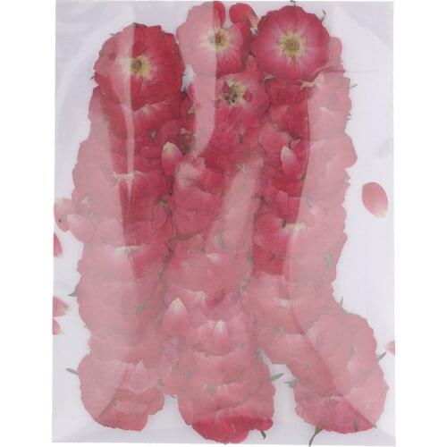 New 50pcs Beautiful Pressed Rose Flower Dried Flowers for Art Craft Scrapbooking Artificial Decoration Wedding Party Flowers