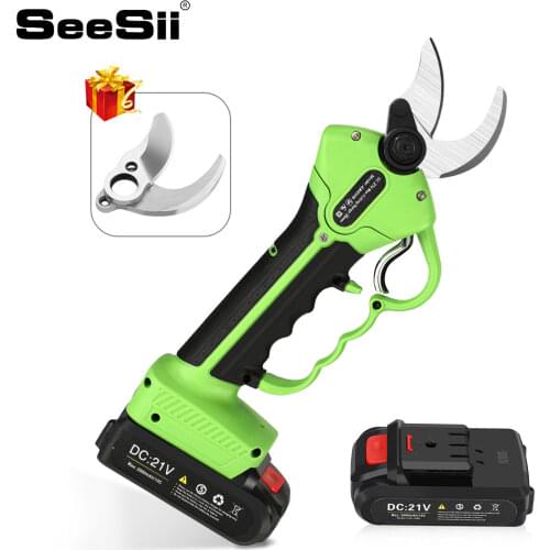 Seesii Scissors