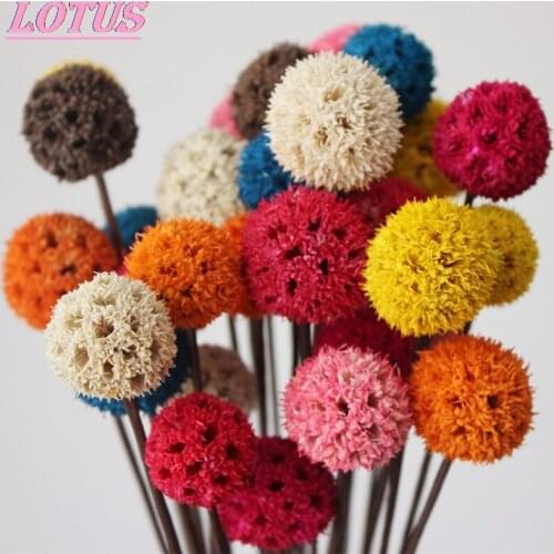 5pcs/lot Natural Dried Flowers Dried Pine Cones Wedding Decorations Ornament Florists Home Decor Crafts hotsale