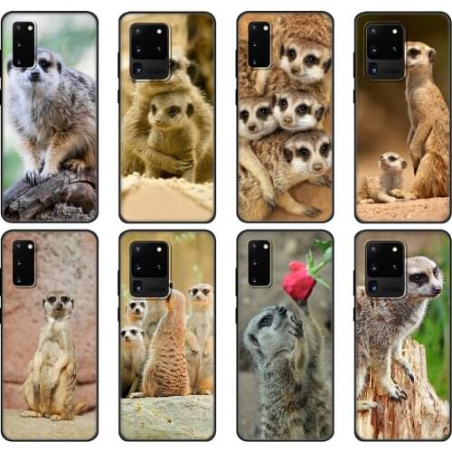 Black tpu Case For Samsung galaxy S20 /S20 PLUS/S20 ultra/S20+ /S20FE back cover animal mob of meerkats