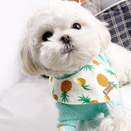 Pet Accessories Dogs Bibs Cat Bowtie Dog Bandana Pet Supplies Accessories for Dogs Pets Products Mascotas Perros Accesorios York