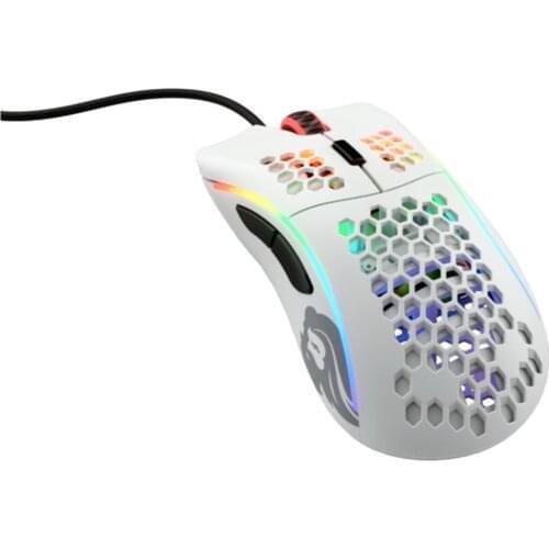 Glori.. Computer Hardware And Software