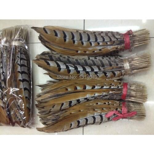 Wholesale high quality 50pcs nature pheasant feathers 30-35cm/12-14inch Decoration diy Symmetrical