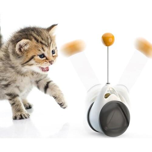 Interactive Cat Toys With Catnip Balance Swing Car Toy Cat Wand Pets Exercise Chase Play Cat Toy Dropshipping