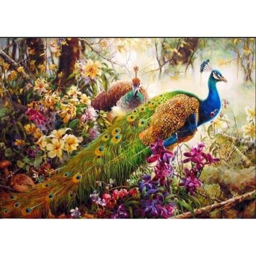 Pea Cock Paintings By Numbers DIY Pictures Oil Coloring By Numbers Set Gift Drawing By Numbers Canvas Decor New Arrivals