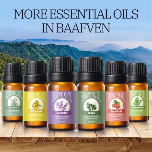 LANBENA Wormwood Essential Oils China
