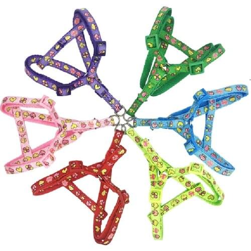 Nylon Pet Cat Dog Puppy Dog Leash Collar for Dogs Lead Harness Belt Traction Rope for dogs accessories