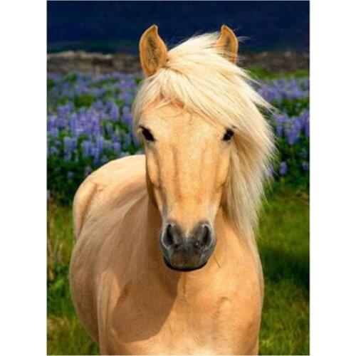 5D DIY Animal Painting Diamond Painting Square/Round Diamond Handsome Horse Picture Cross Stitch Decoration Artwork WG2937