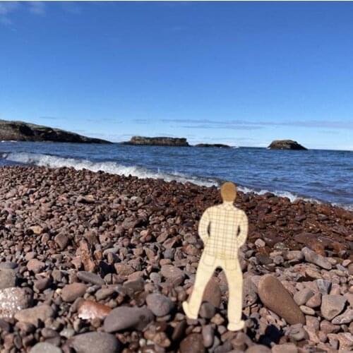 Pissing Plant Decoration Mark Miniature Landscape Flower Basin Insert Suitable for Indoor and Outdoor GQ