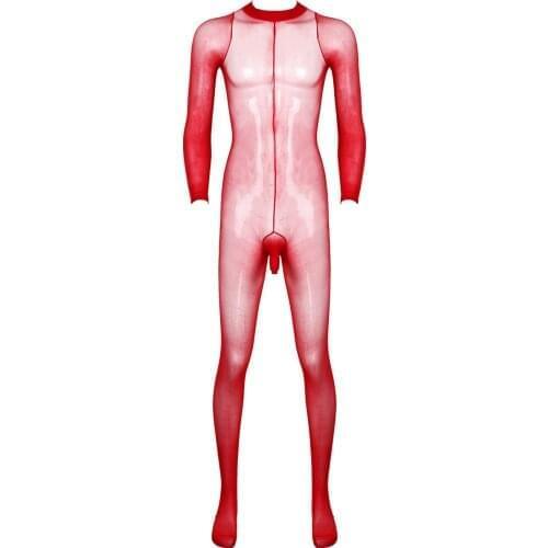 Mens Erotic Lingerie Tights Full Body Stocking See Through Sheer Open Penis Sheath Design Closed Toes Stretchy Body Pantyhose