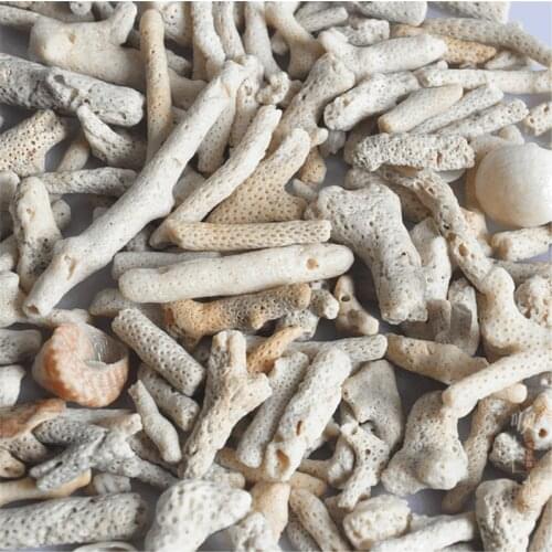 HONGYI Natural Coral Bone Stone Marine Aquarium Fish Tank Filter Media