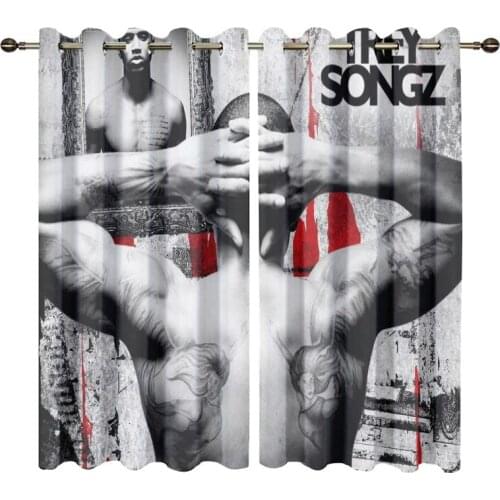 Windows Curtains with Anti-rust Metal Grommets for Living Room Trey Songz Printed Drapes for Bedroom Home Decor 2 Panels