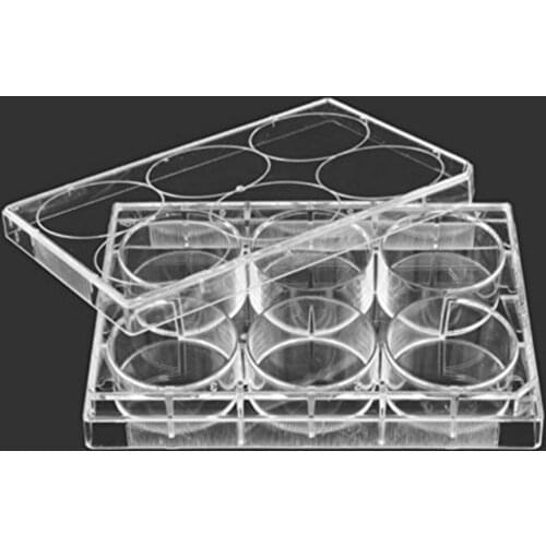 5pcs/lot Laboratory analysis Disposable Plastic Polystyrene Petri Dishs 6 well,Sterile