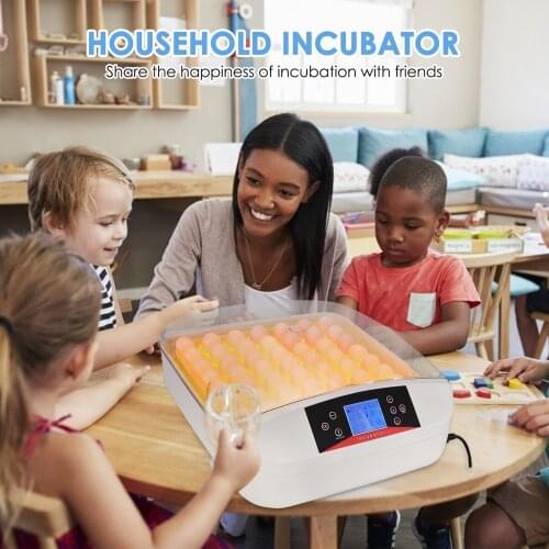 Всё для кормления и поения Furonghua China At AliExpress